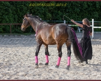 2-13JUIN 0092